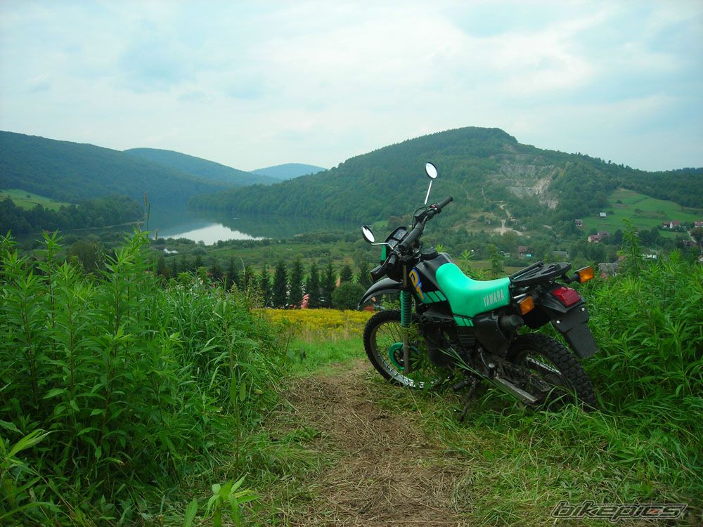 Photo 1560629