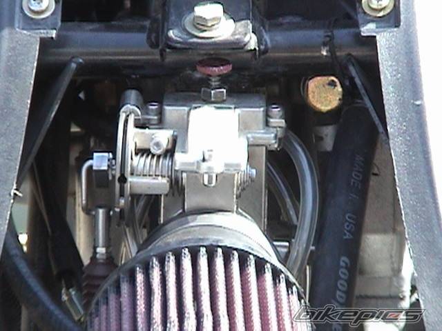 Photo 156069