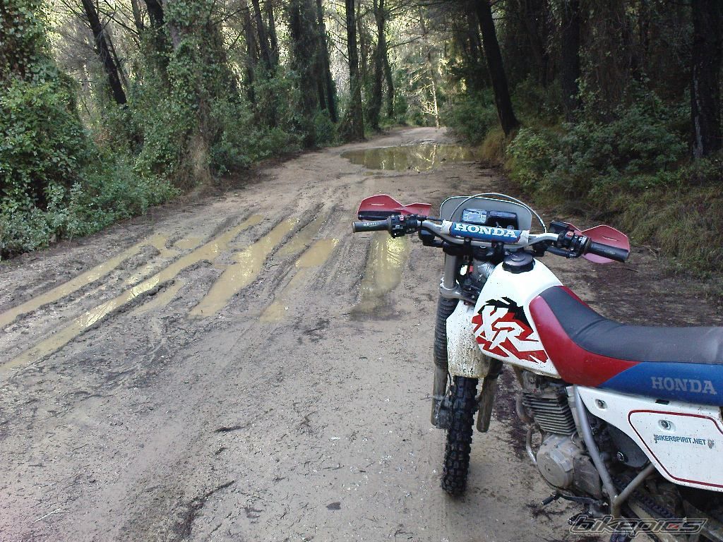 Photo 1560693
