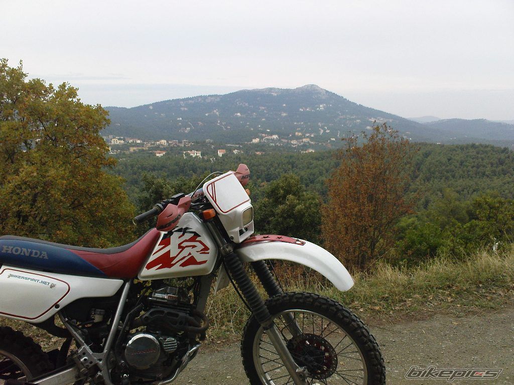 Bike Photo 1560698
