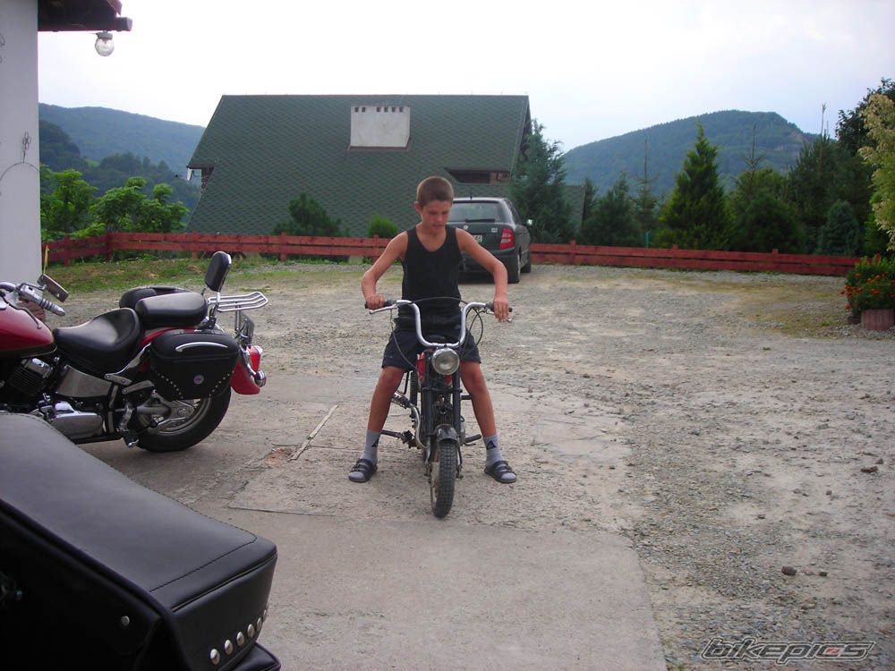 Photo 1560709