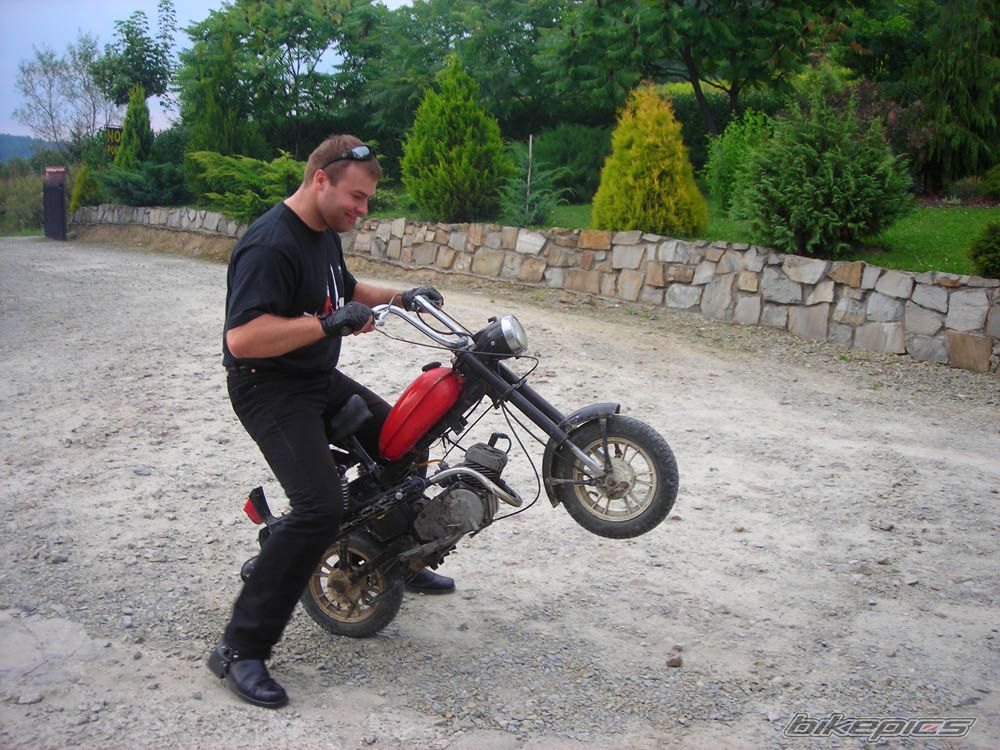 Photo 1560712