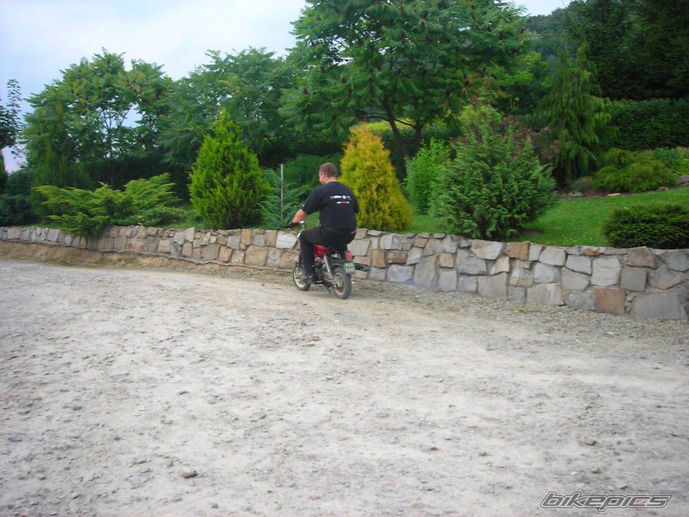 Photo 1560716