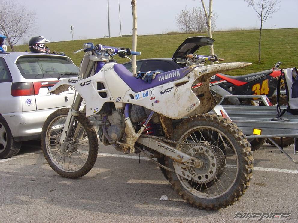 Photo 1560723