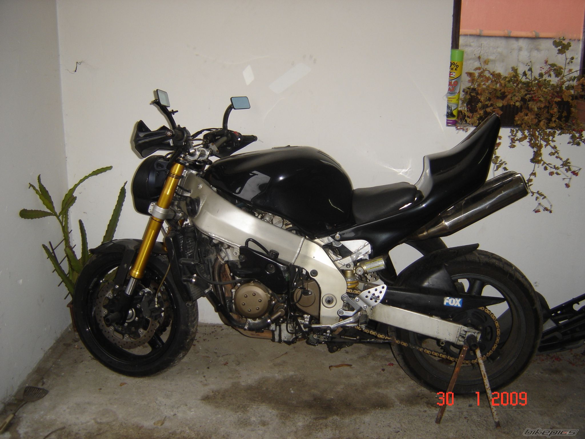 Photo 1560746