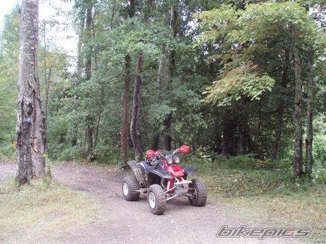 Bike Photo 1560753