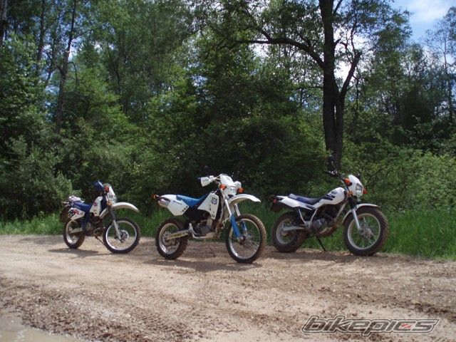 Photo 1560760