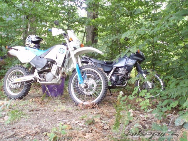 Photo 1560763