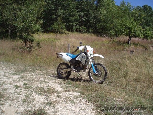 Photo 1560765