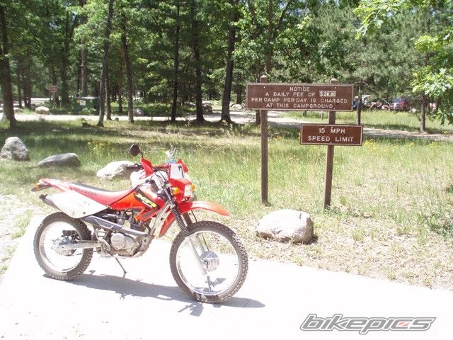 Photo 1560772