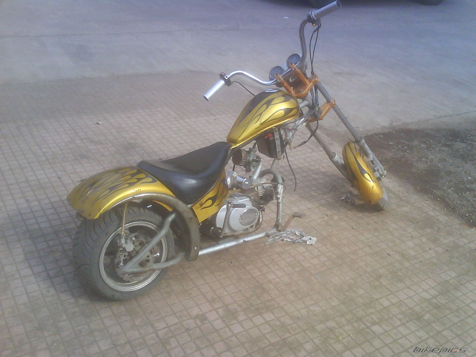 Photo 1560779