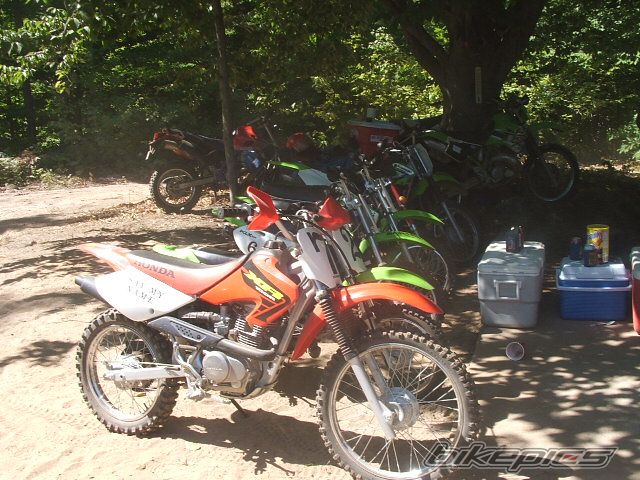 Photo 1560784