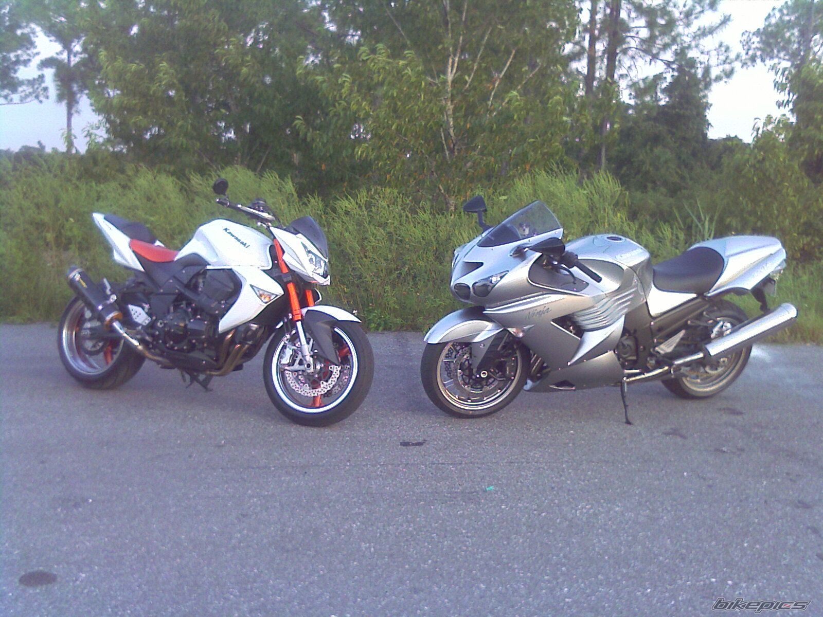 Photo 1560892