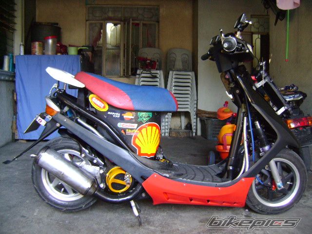 Photo 1561029