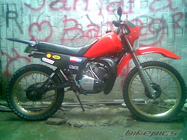 Photo 1561044