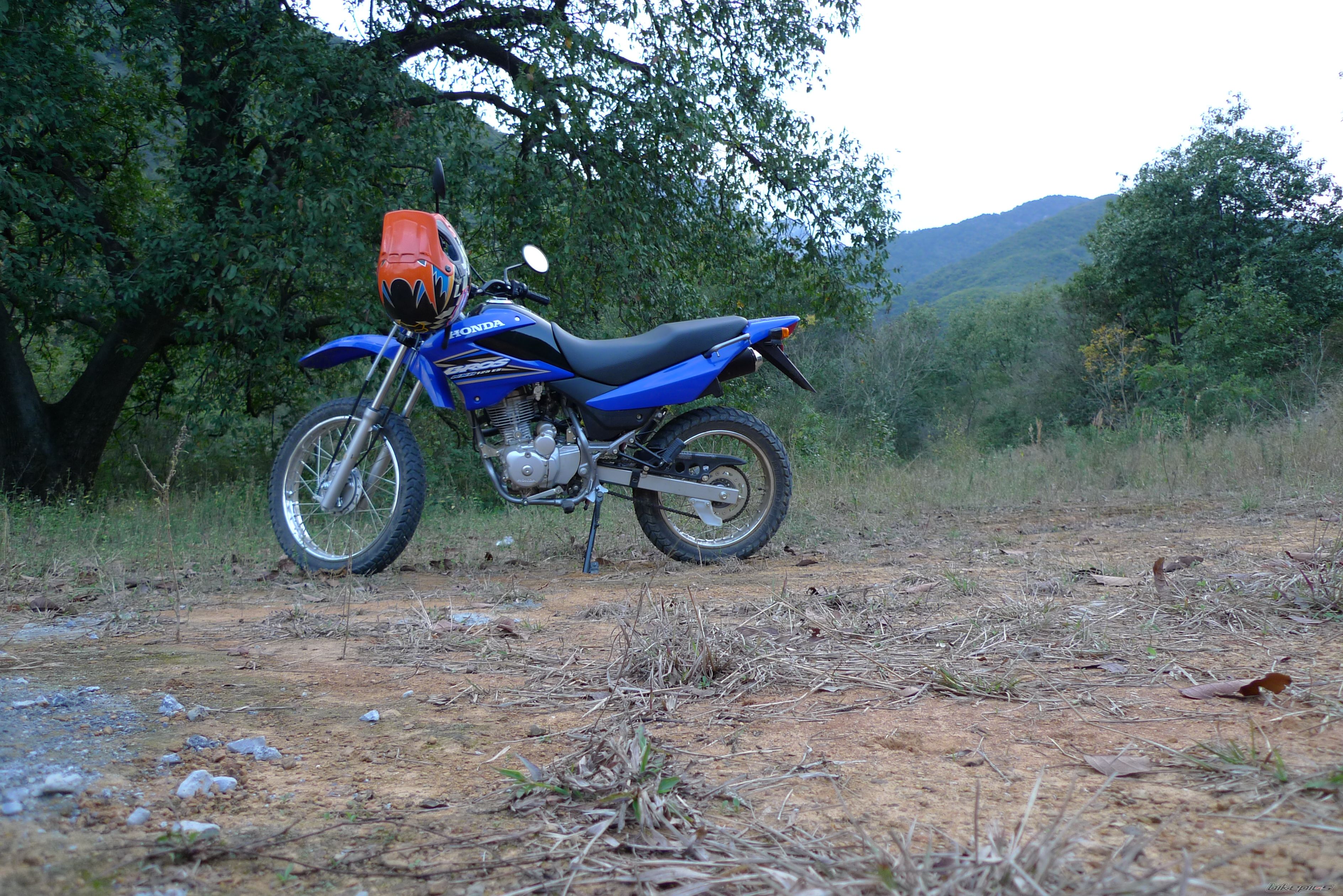 Photo 1561067