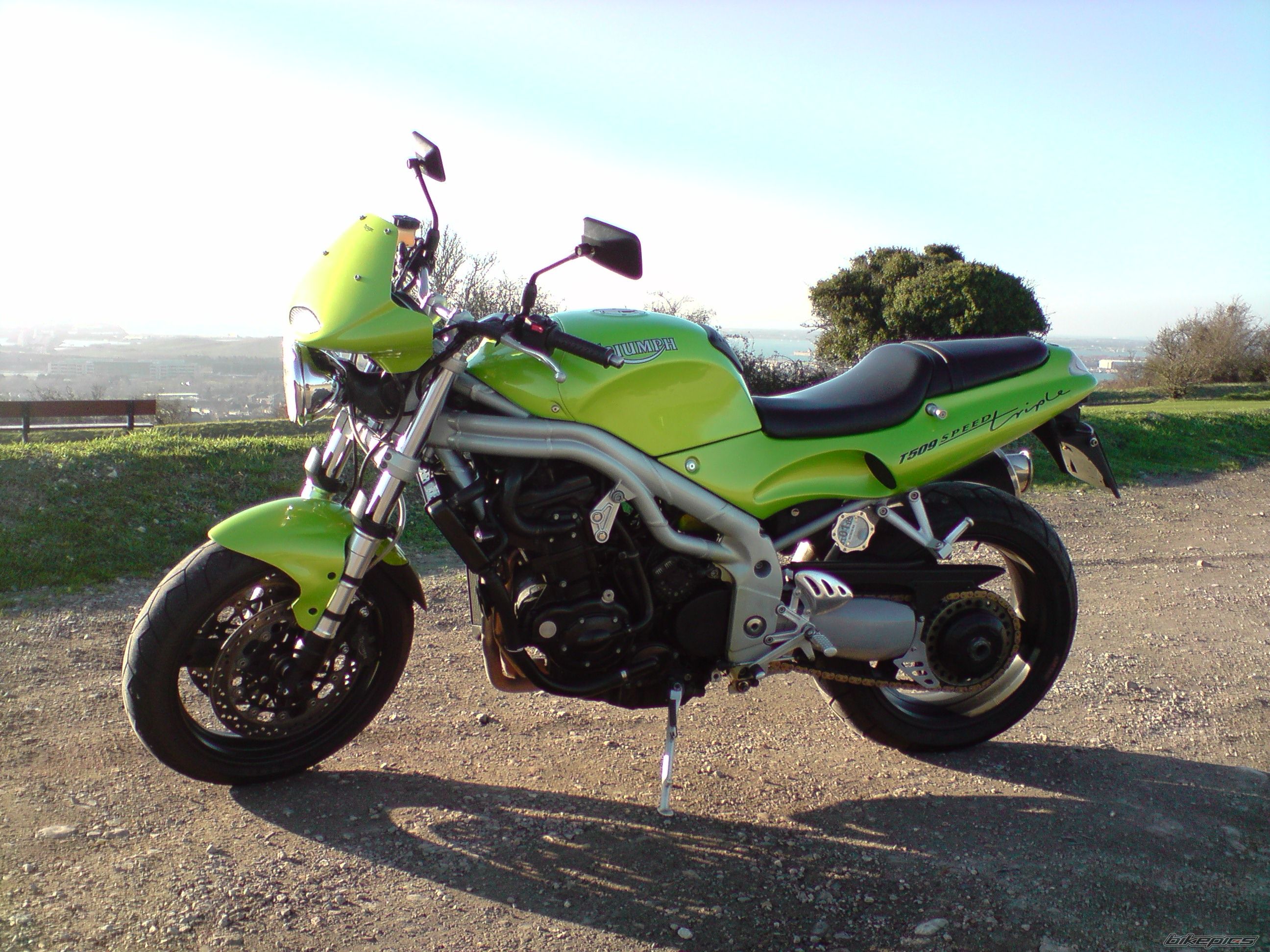 Photo 1561142