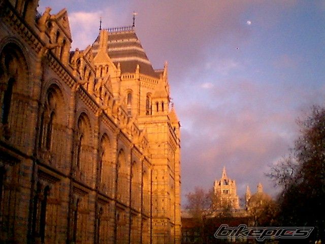 Photo 1561177