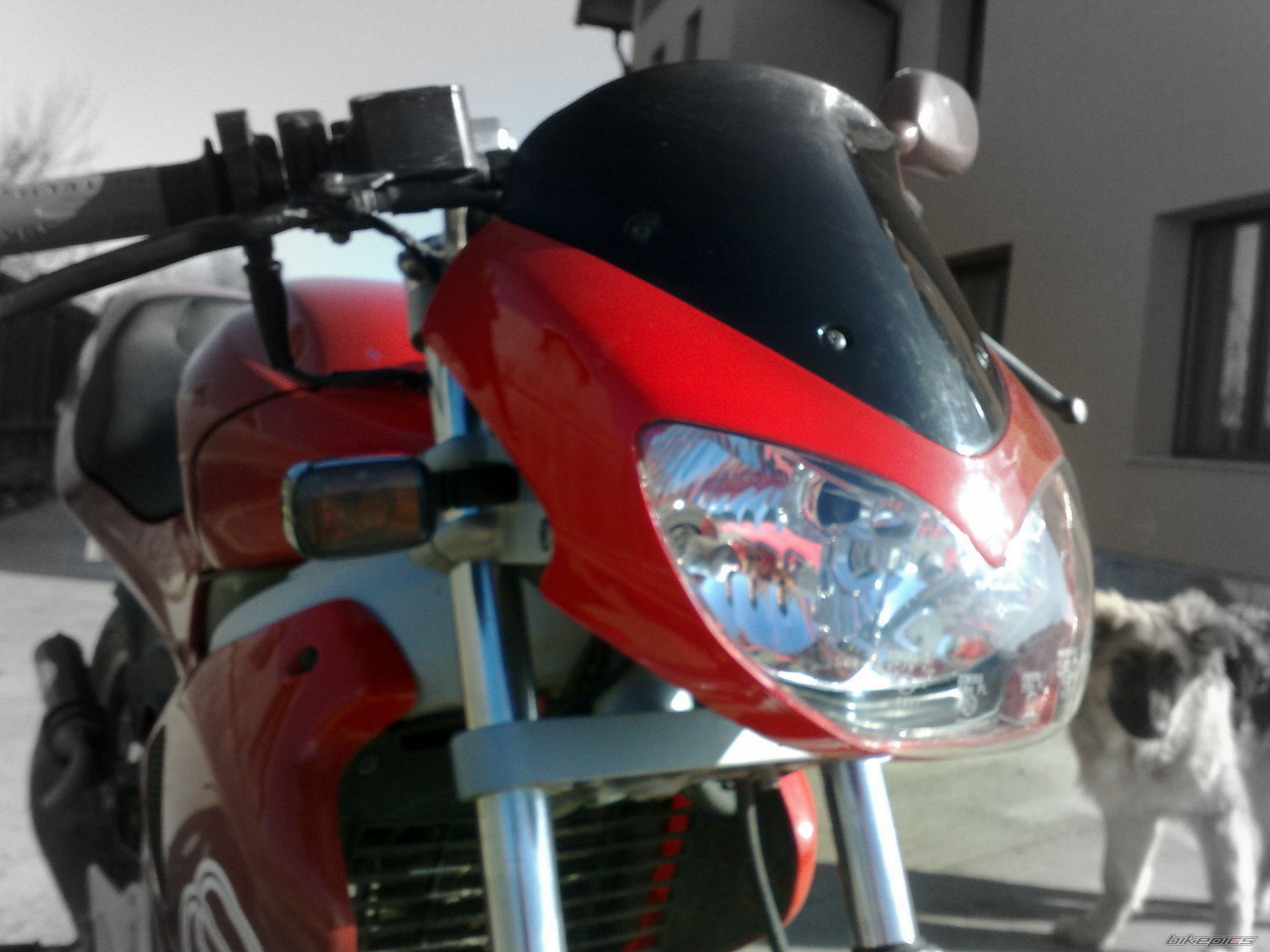 Photo 1561210