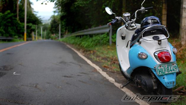 Photo 1561211