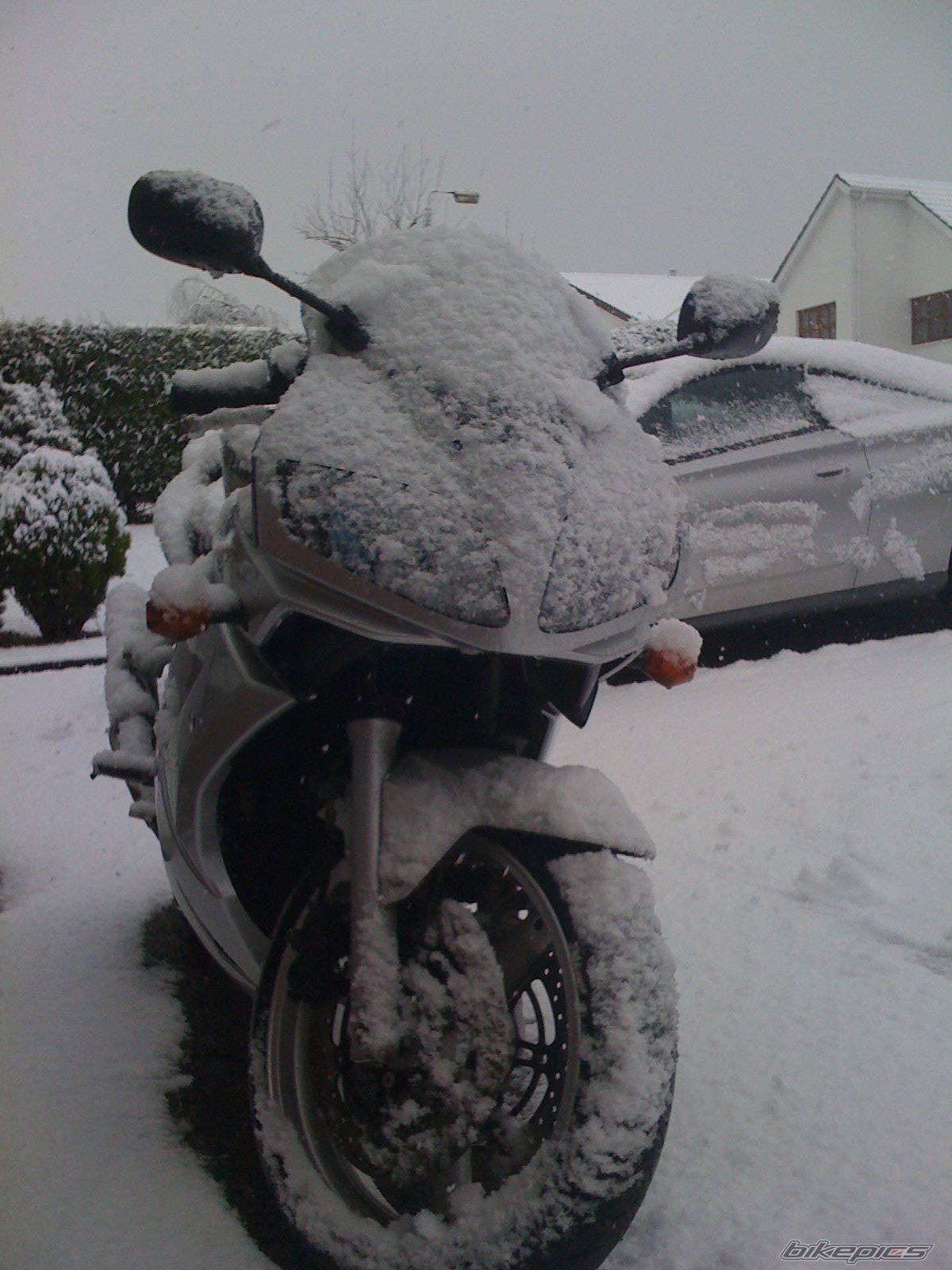 Photo 1561232