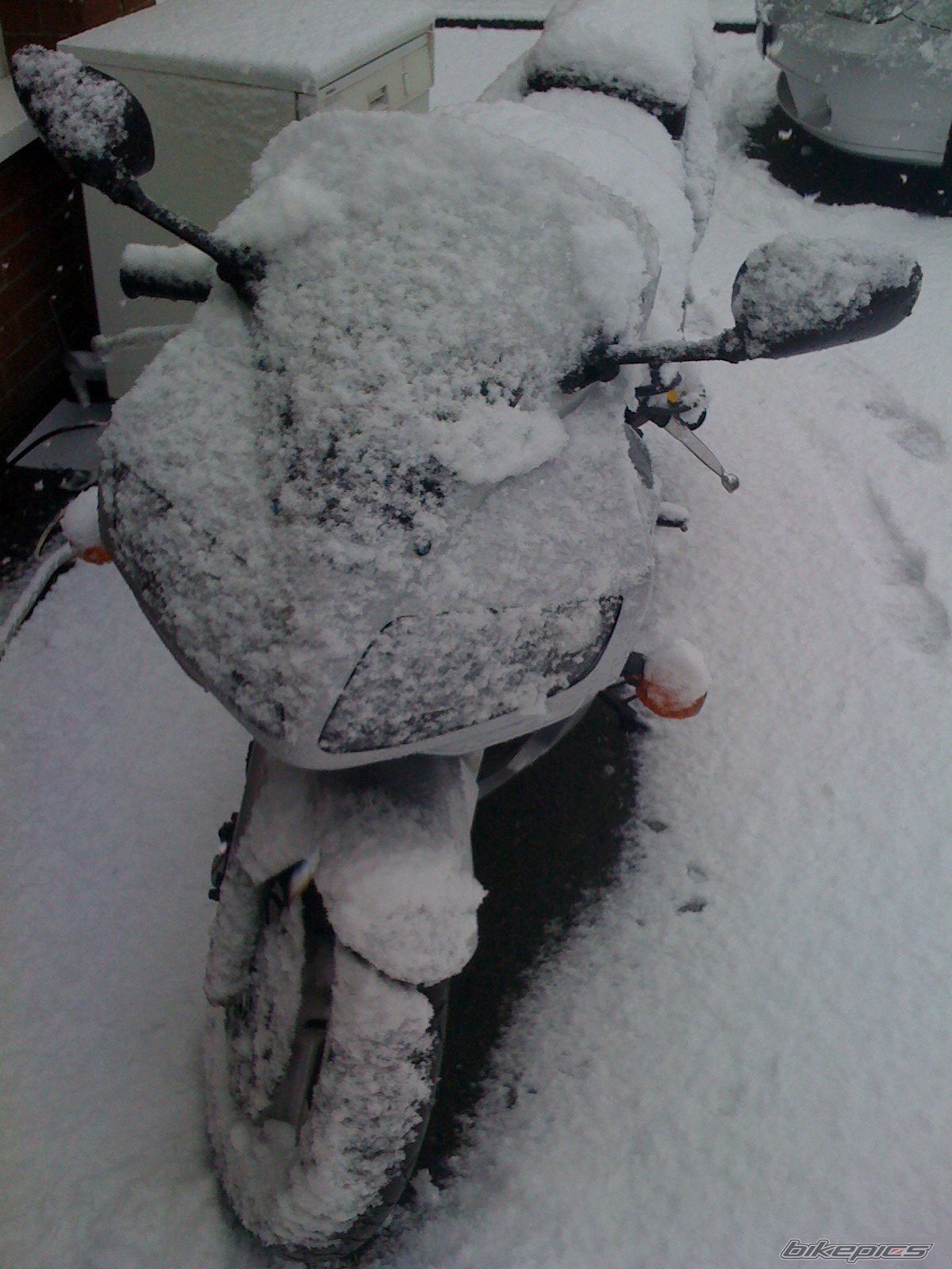Photo 1561233