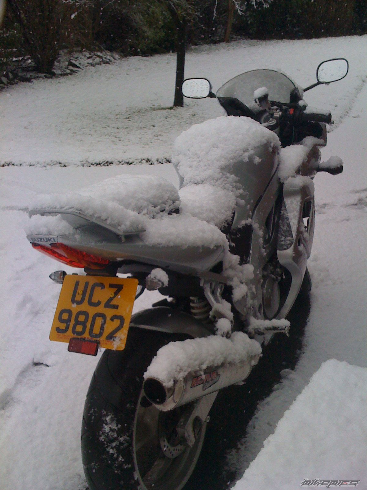 Photo 1561235
