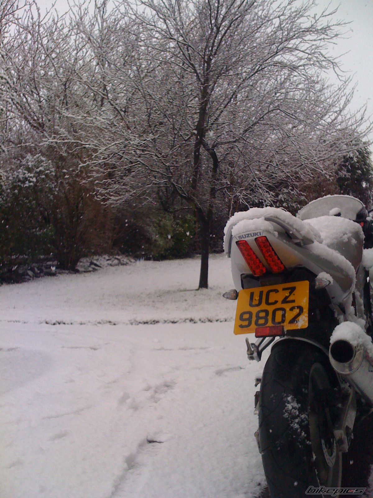 Photo 1561236