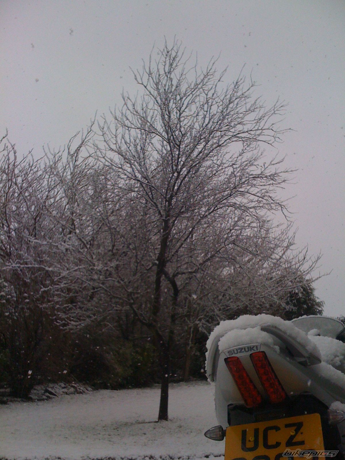 Photo 1561237