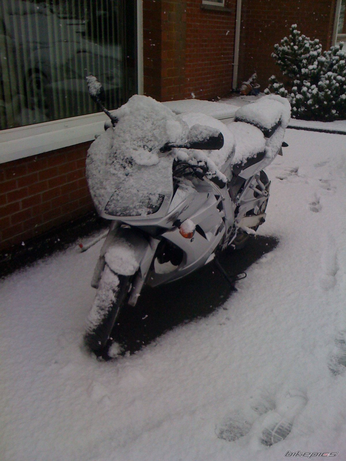 Photo 1561238