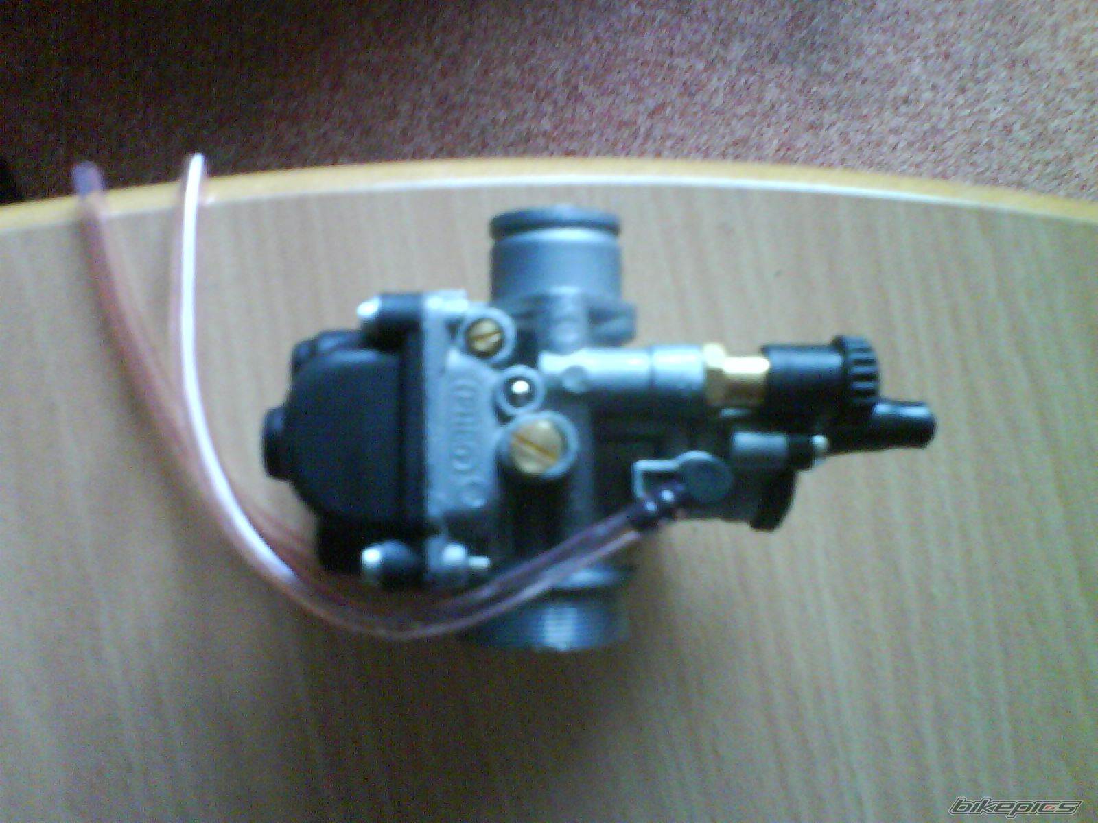 Photo 1561255