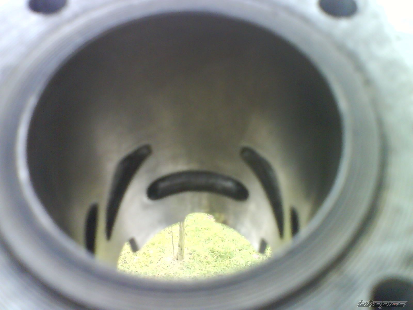 Photo 1561257