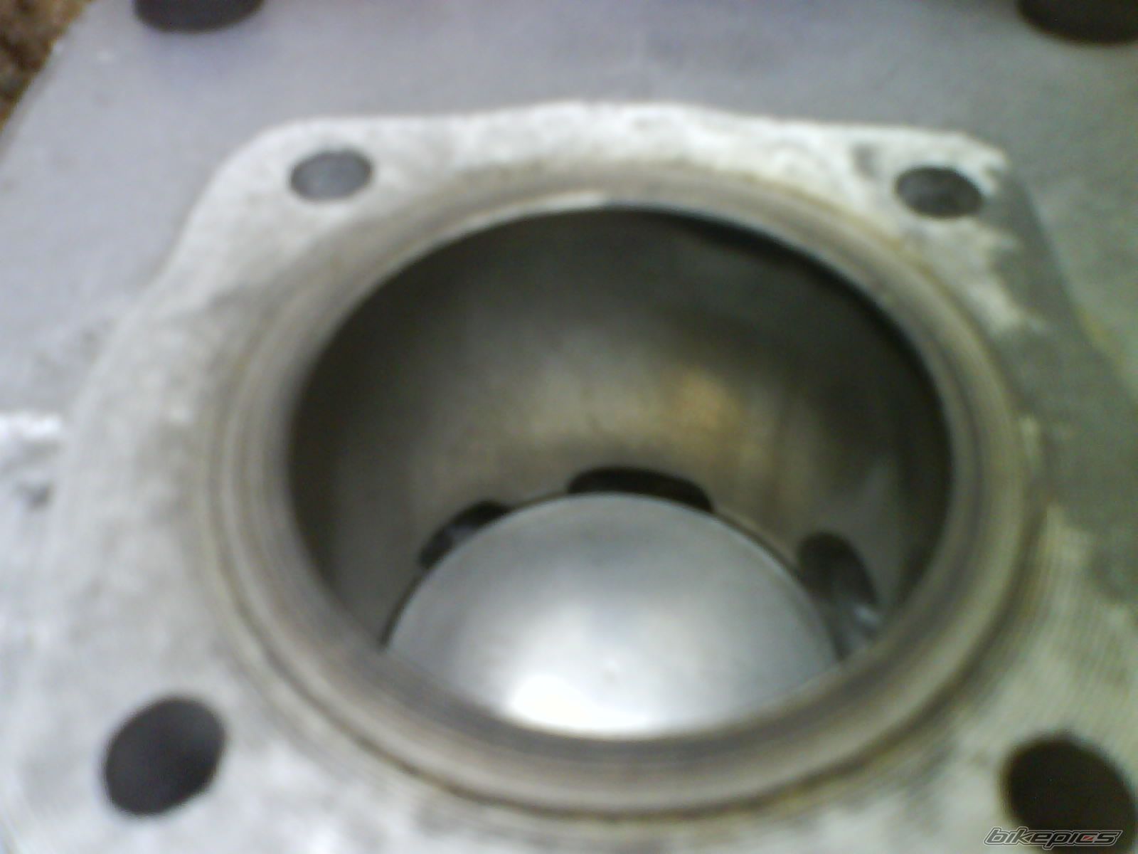 Photo 1561259