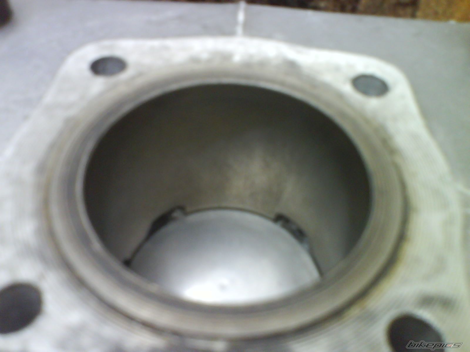 Photo 1561260