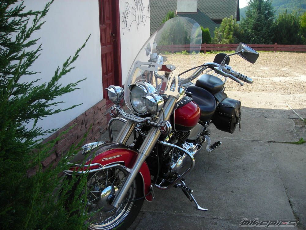 Photo 1561272