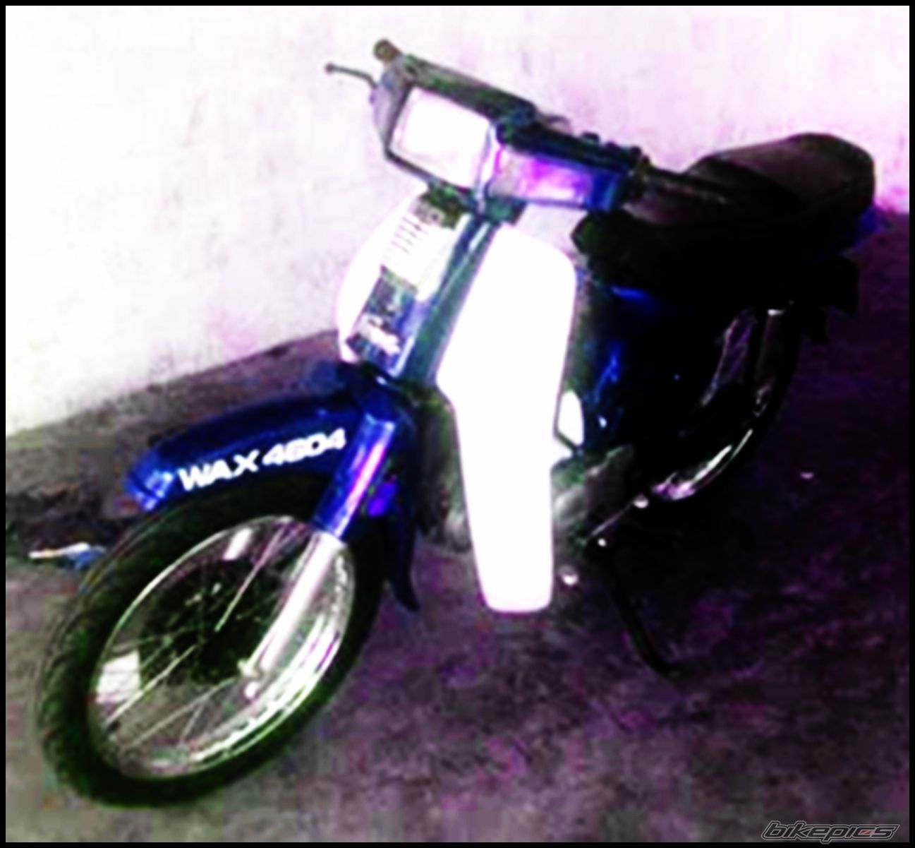 Photo 1561273