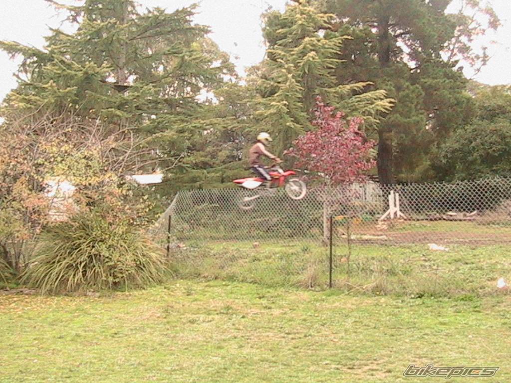 Photo 156128
