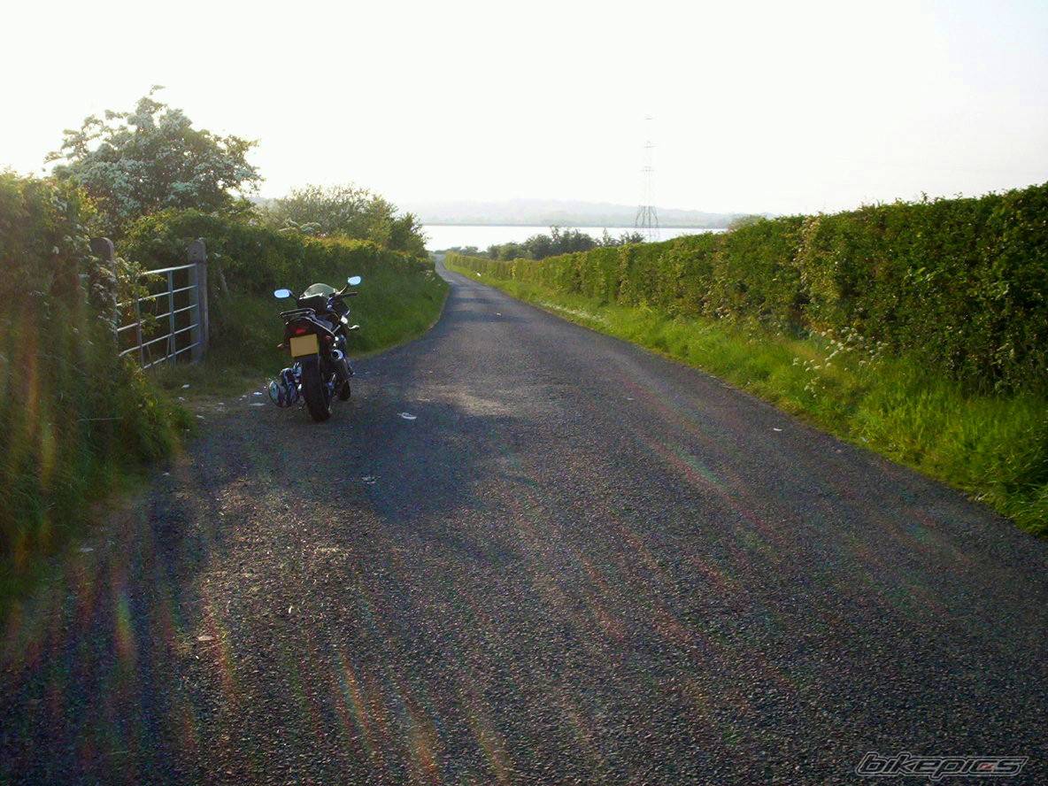 Photo 156134