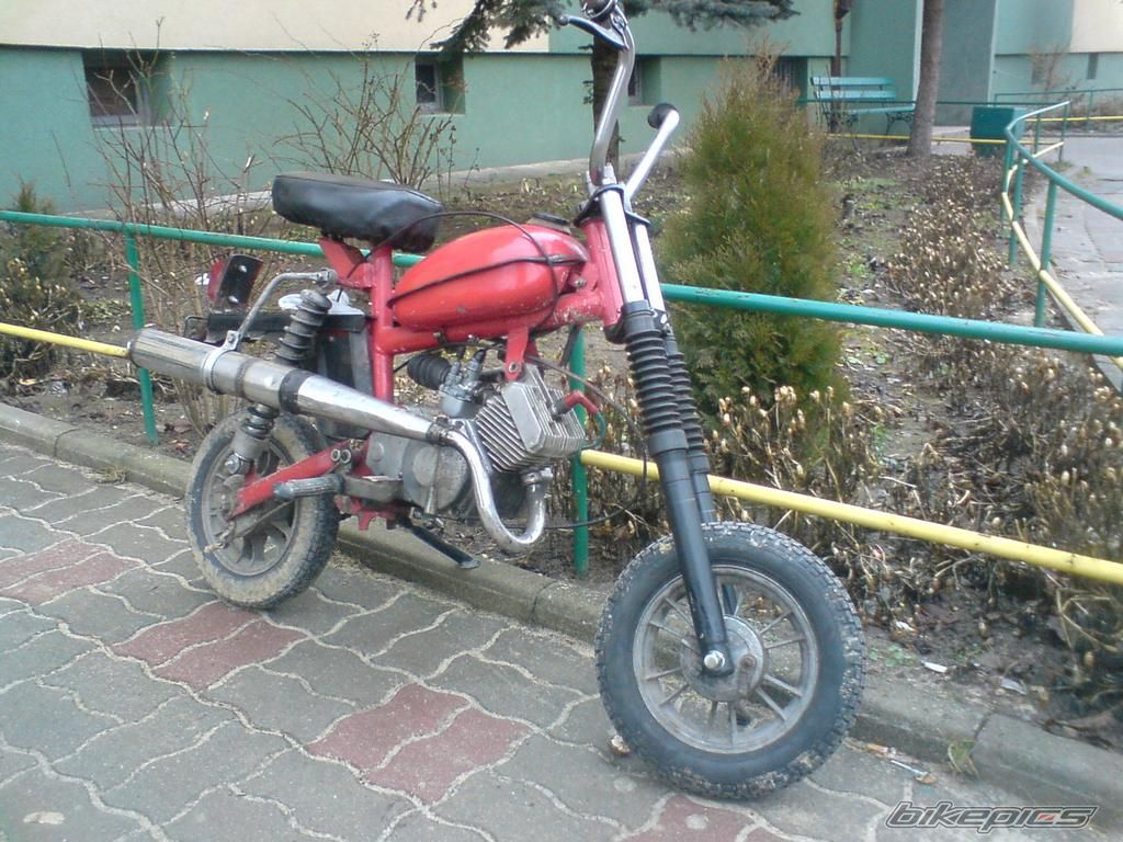 Photo 1561342