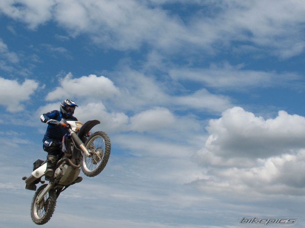 Photo 1561353