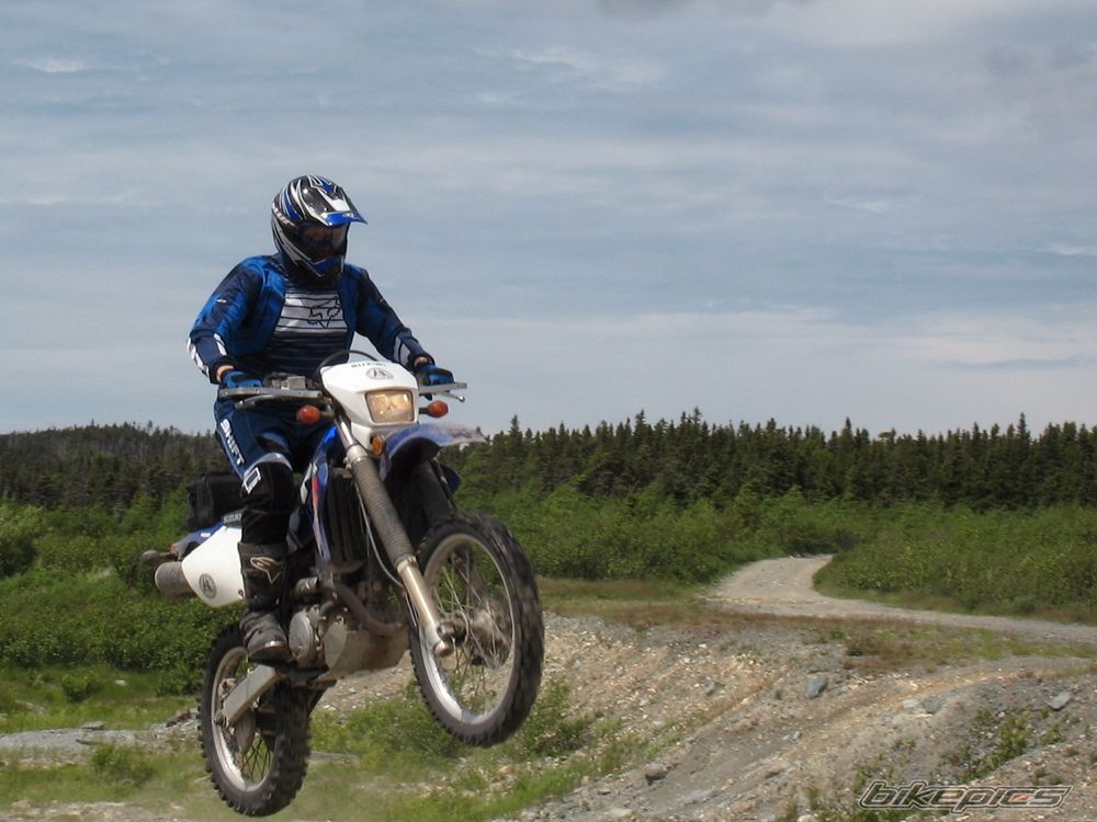 Photo 1561354