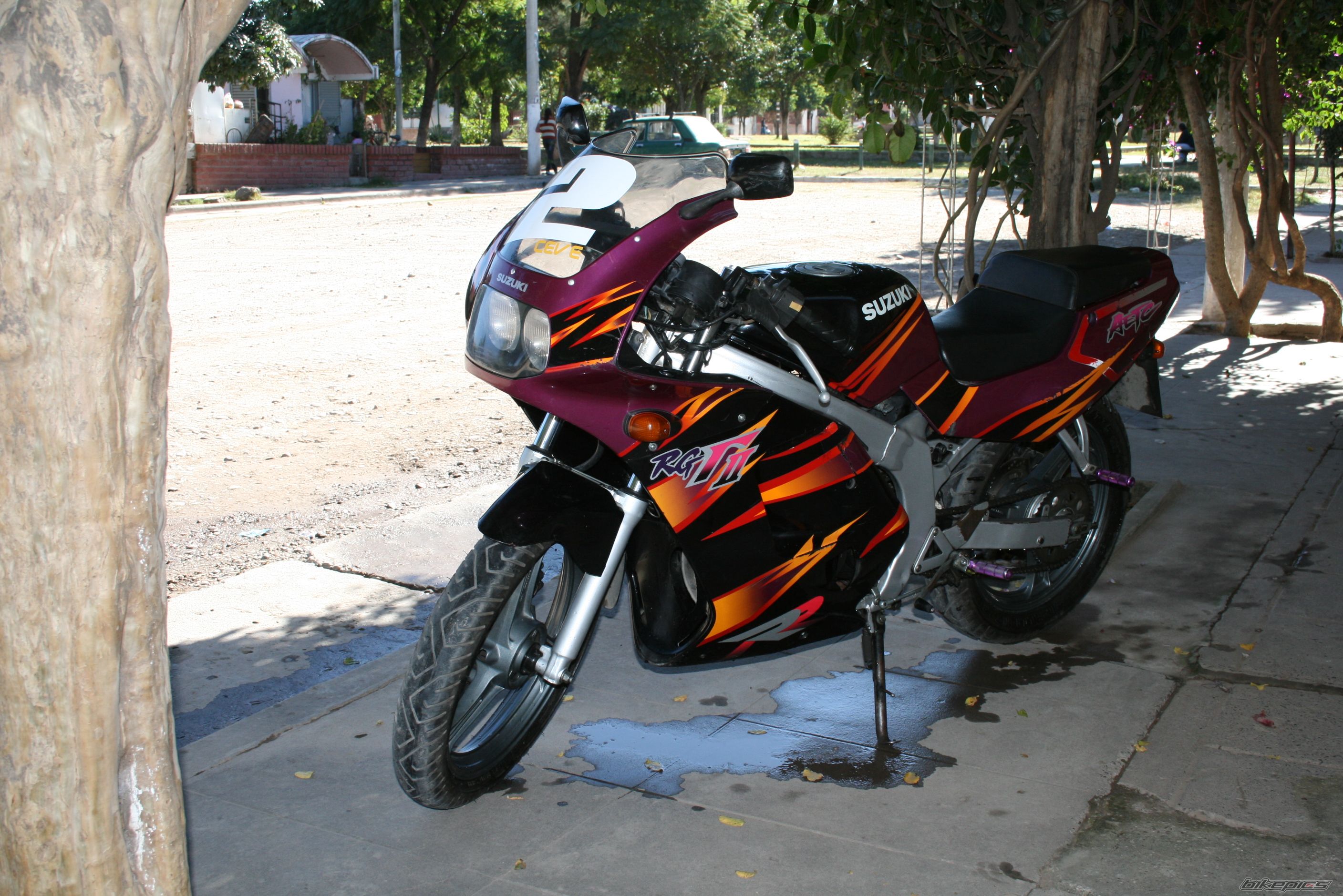 Photo 1561355