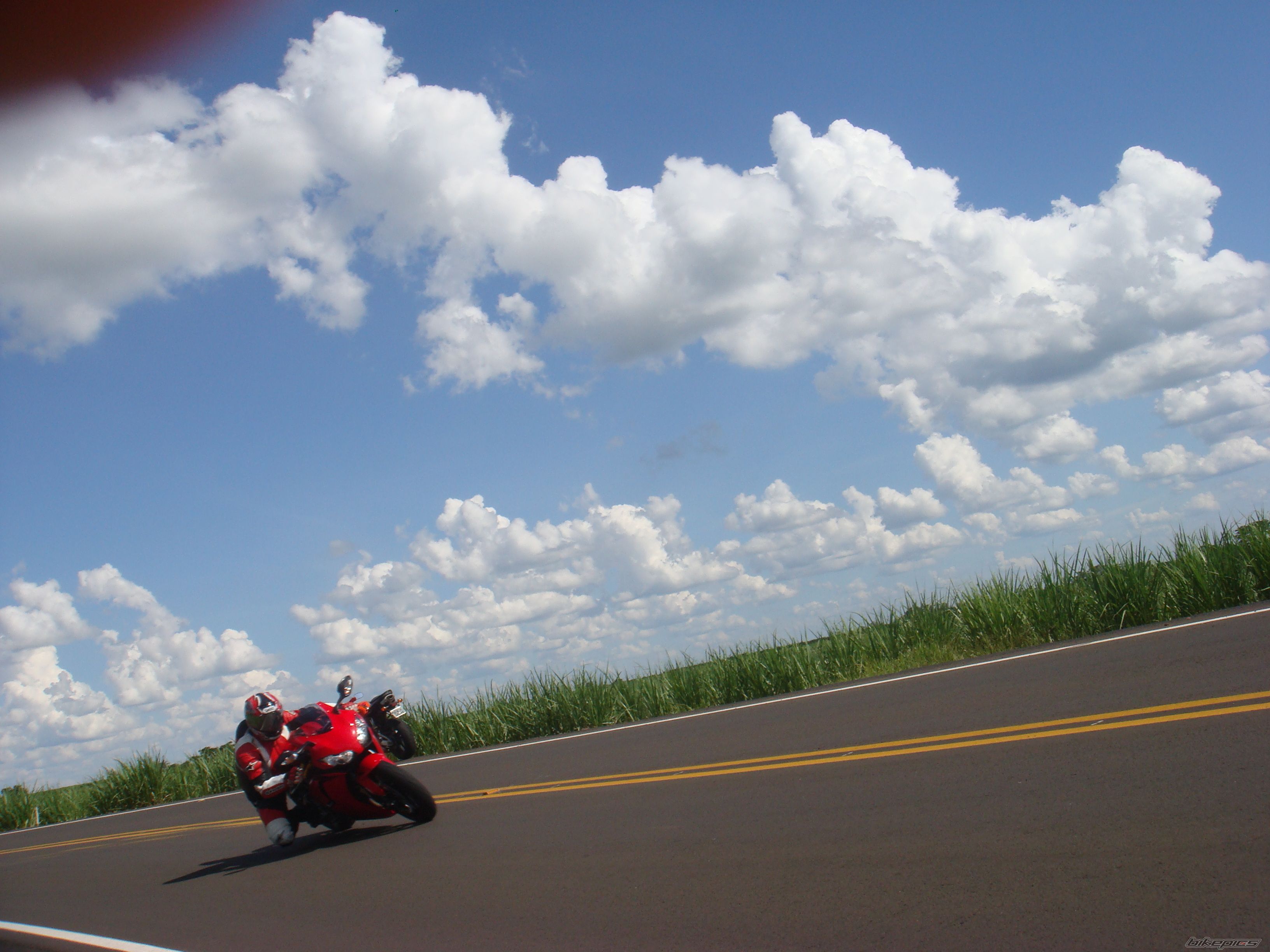 Photo 1561374