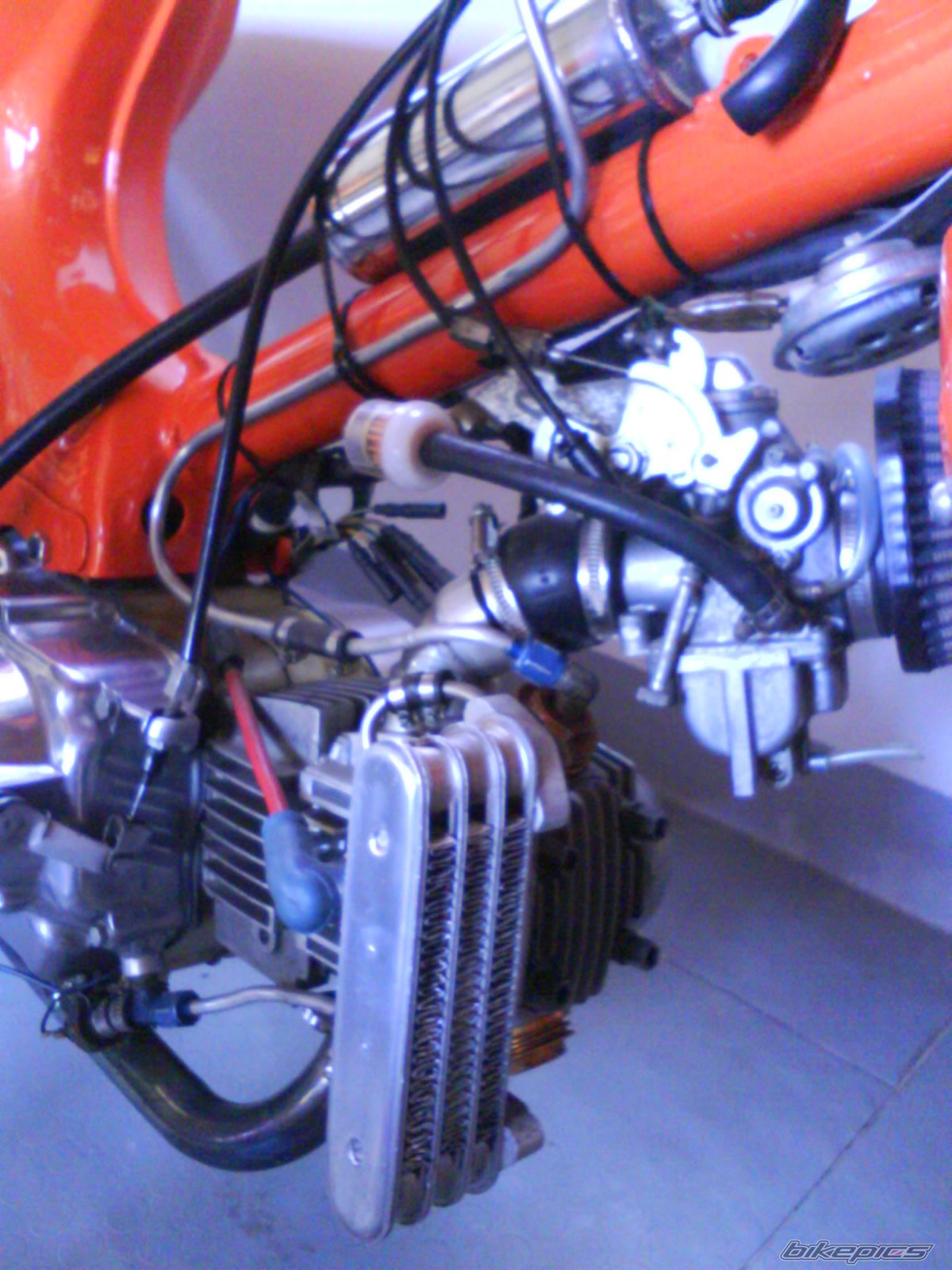 Photo 1561384
