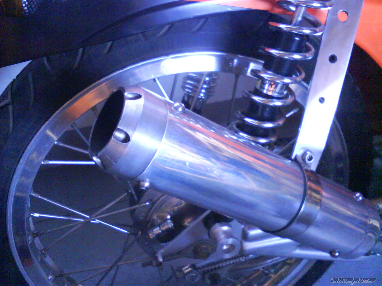 Photo 1561387