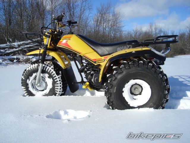 Photo 1561404