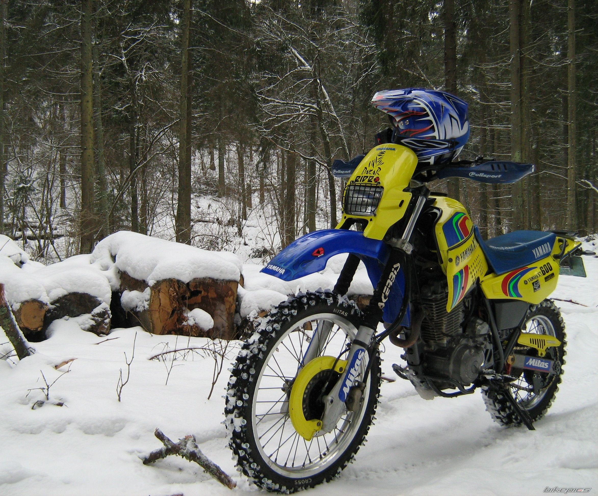 Photo 1561405