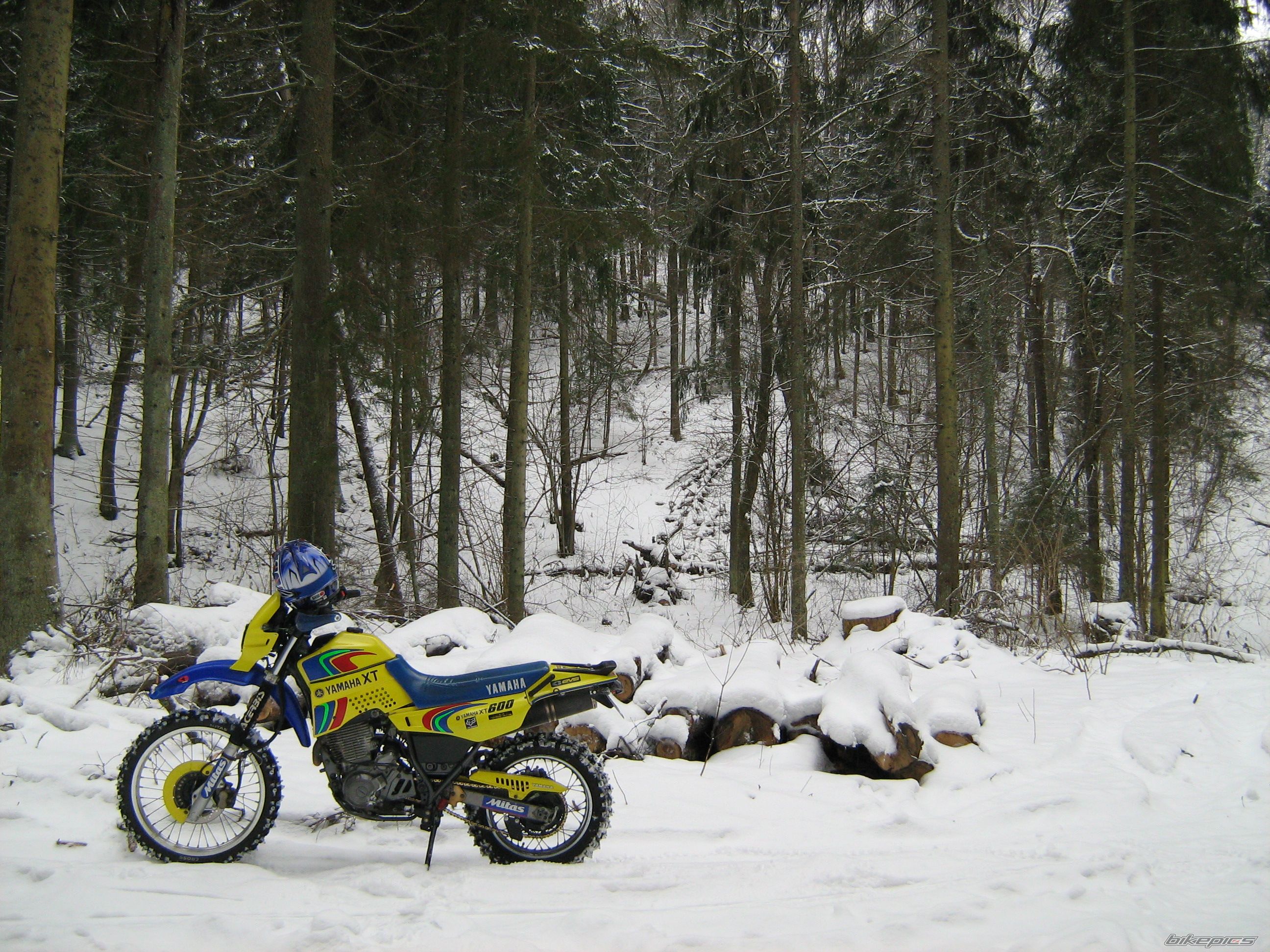 Photo 1561409