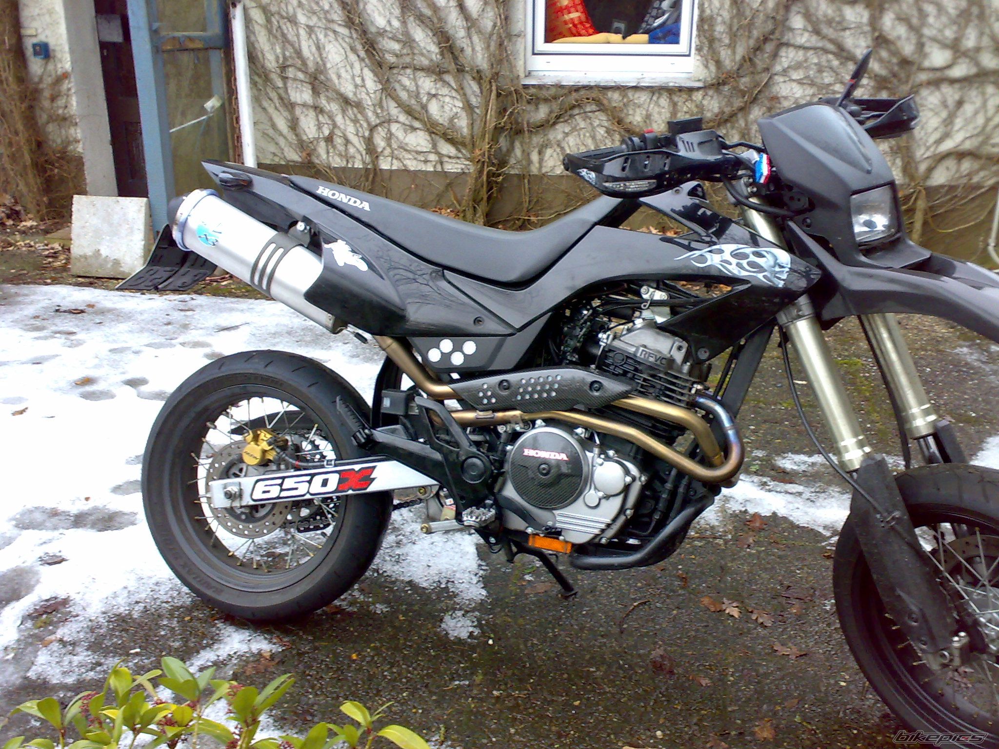 Photo 1561444