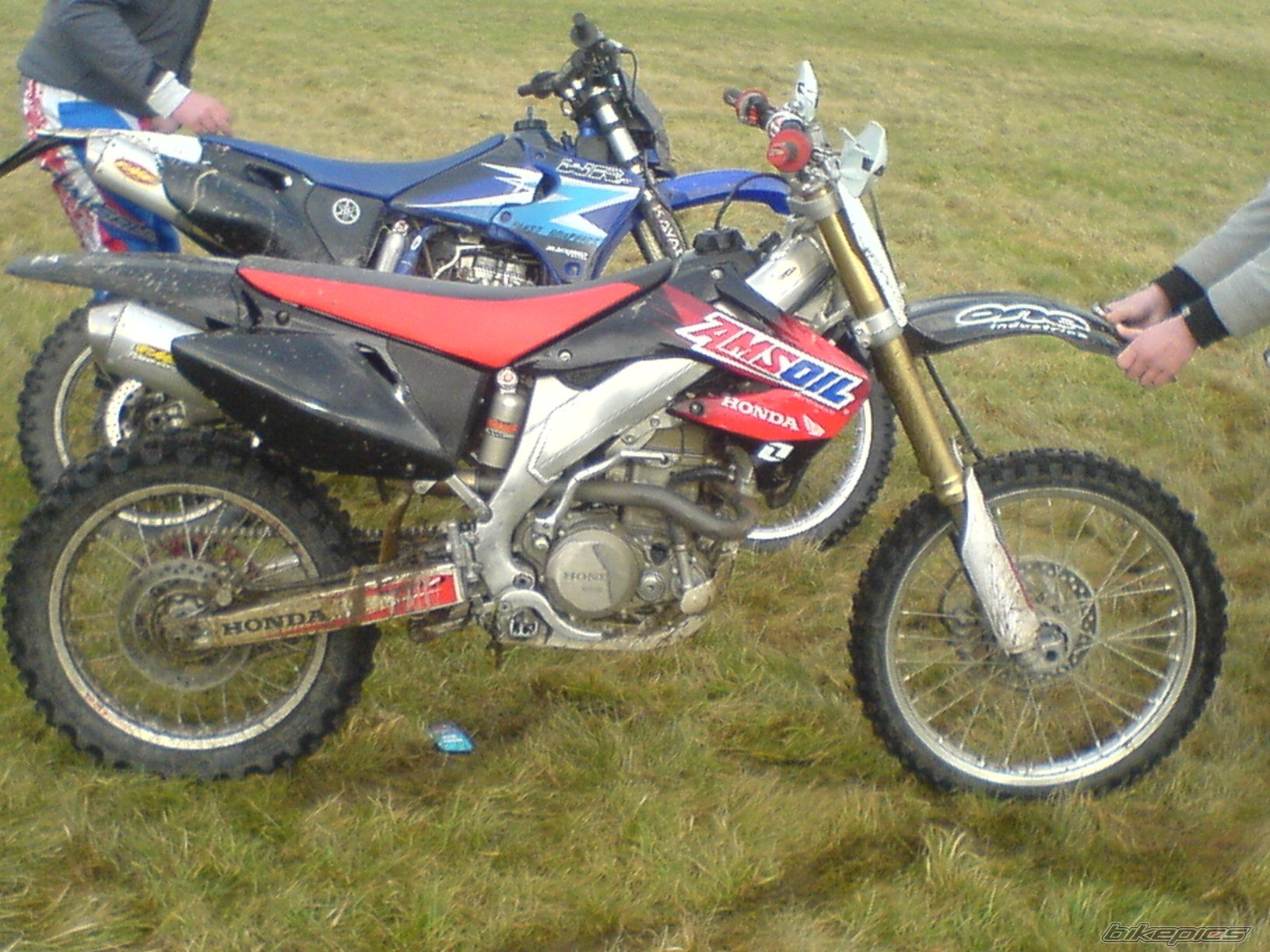 Photo 1561454